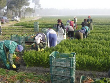 950 de locuri disponibile pentru calificare în agricultură
